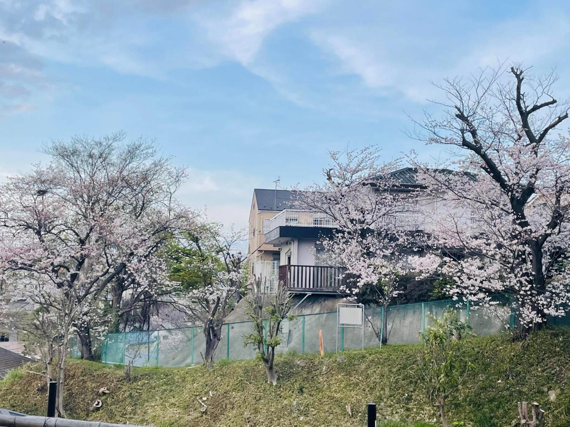 Готель ソフィアハウス横浜 -女性専用シェアハウス- Sopfia House Yokohama For Women Only Shared House Екстер'єр фото